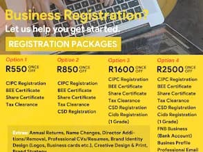 Startup Consulting Company in Chatsworth