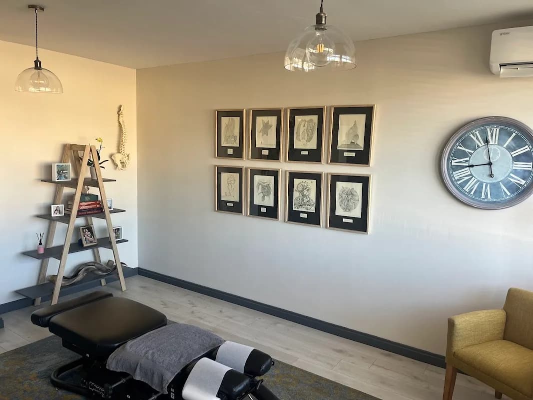 Hyde Park Chiropractic in Hyde Park