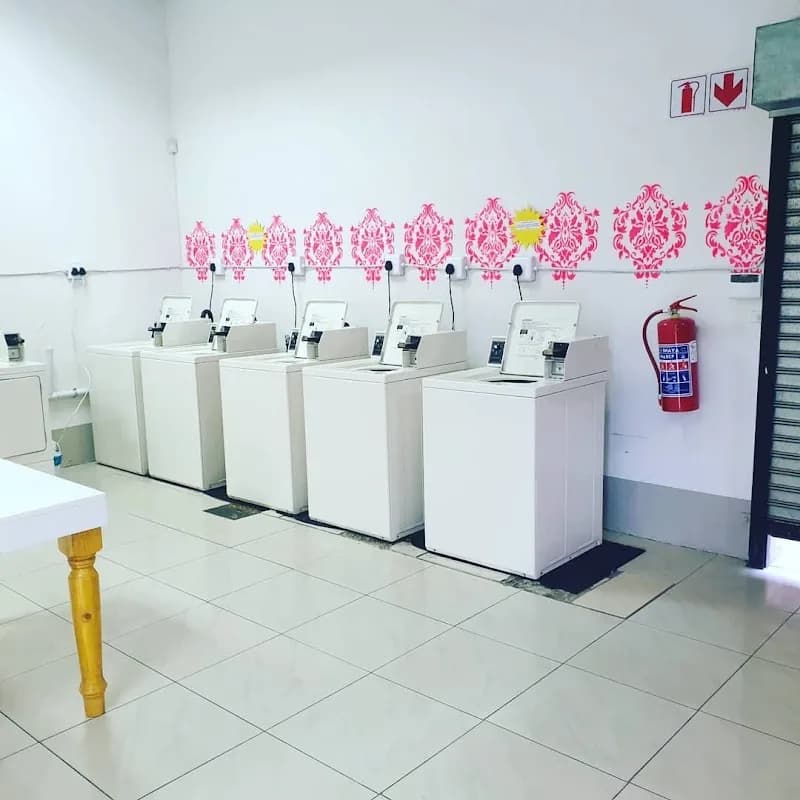 Les Stains Laundromat in Flora Park