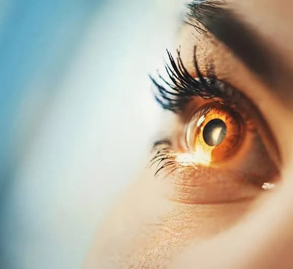 EXPERT EYES OPTOMETRIST in Braamfontein