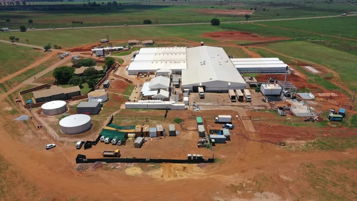 Festive Kaalfontein Hatchery in Birch Acres