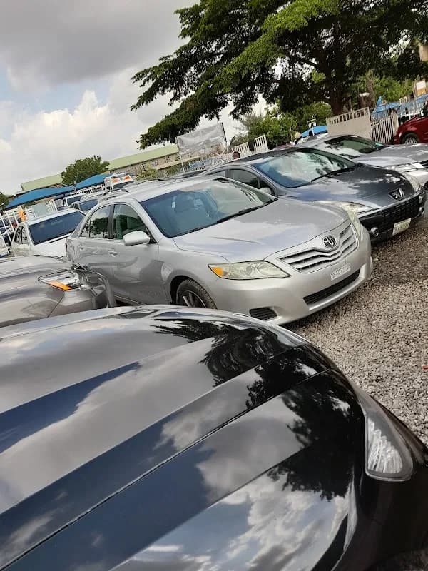 Miyetti Automobiles in Dutse