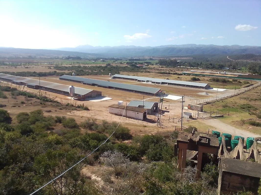 Rocklands Poultry in Uitenhage
