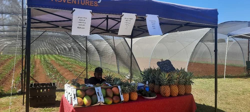 The Urban Farmers Market in Kempton Park