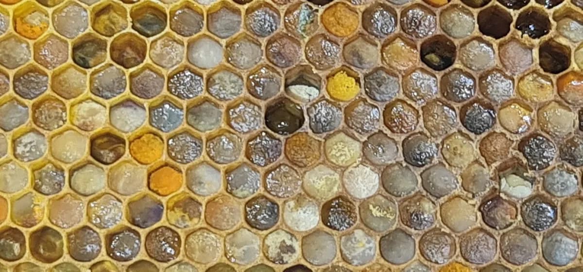 The Bee Inspired Honey Company in Strand