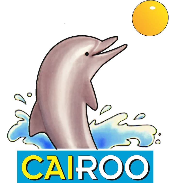 Cairoo Educational Software in Wonderboom