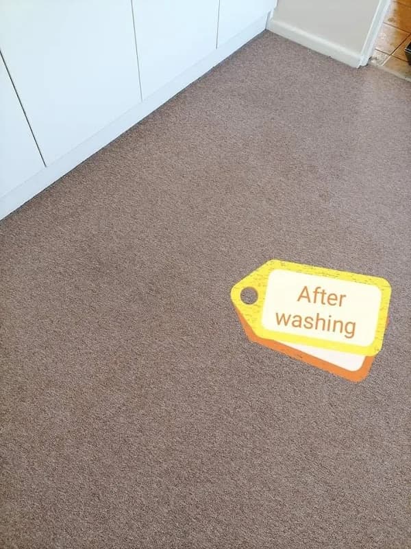 Unique Carpet Cleaners in Durbanville