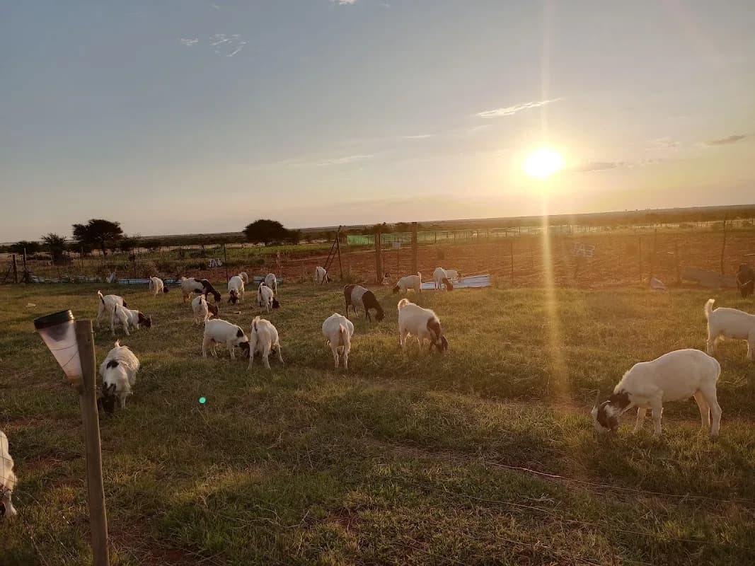Tshimologo Farm Business in Montshiwa