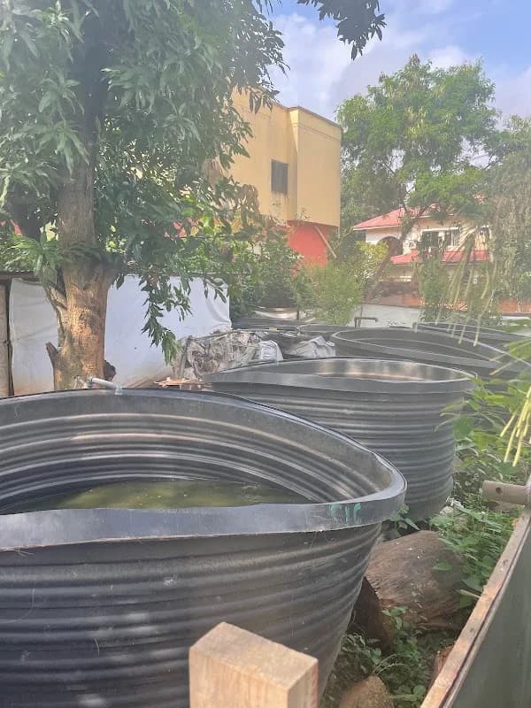 Dagger Agro Farms in Asokoro