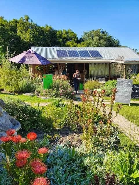 Nightjar Cabin The Farm Knysna in Knysna CBD