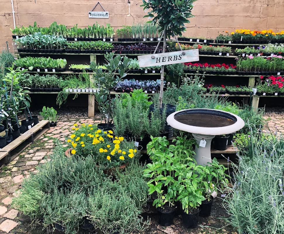 Green Scene Farm Nursery in Kramerville