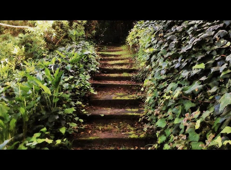 Gate House Spiritual Centre in Constantia