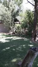 The Willows in Willows