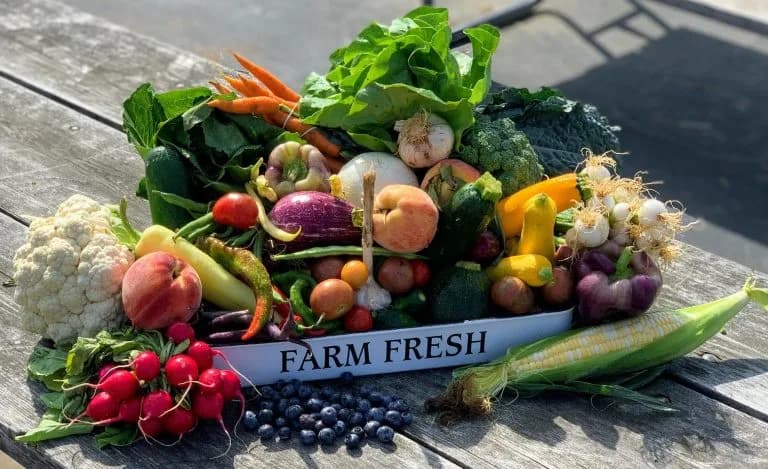 Legendary Farmers Market(PTY) LTD in Thabong