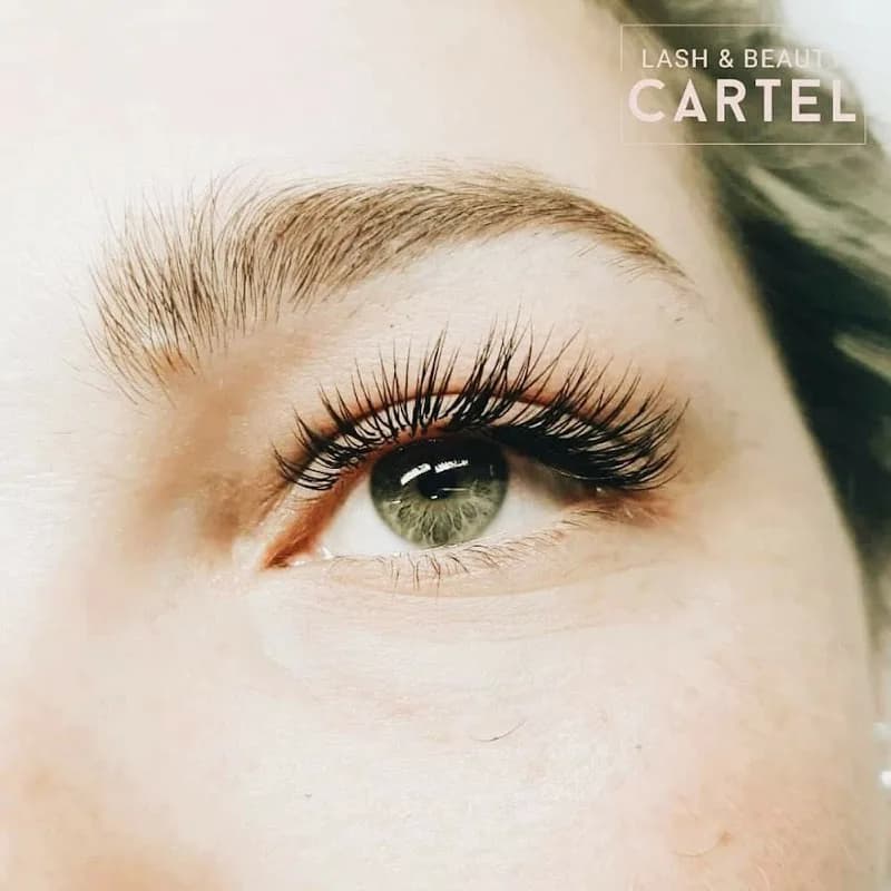 Lash and Beauty Cartel in Clifton