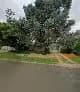 Bosch Assurance Brokers in Alberton