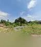 Kachido Intergrated Farms in Asokoro