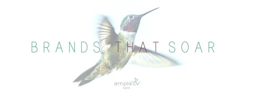 Amplifly Digital in George CBD