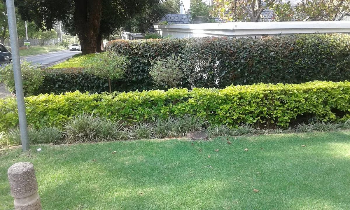 Waterkloof Ridge in Waterkloof Ridge