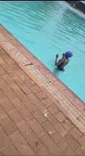 Penguin Aquatic Swim School in Pimville