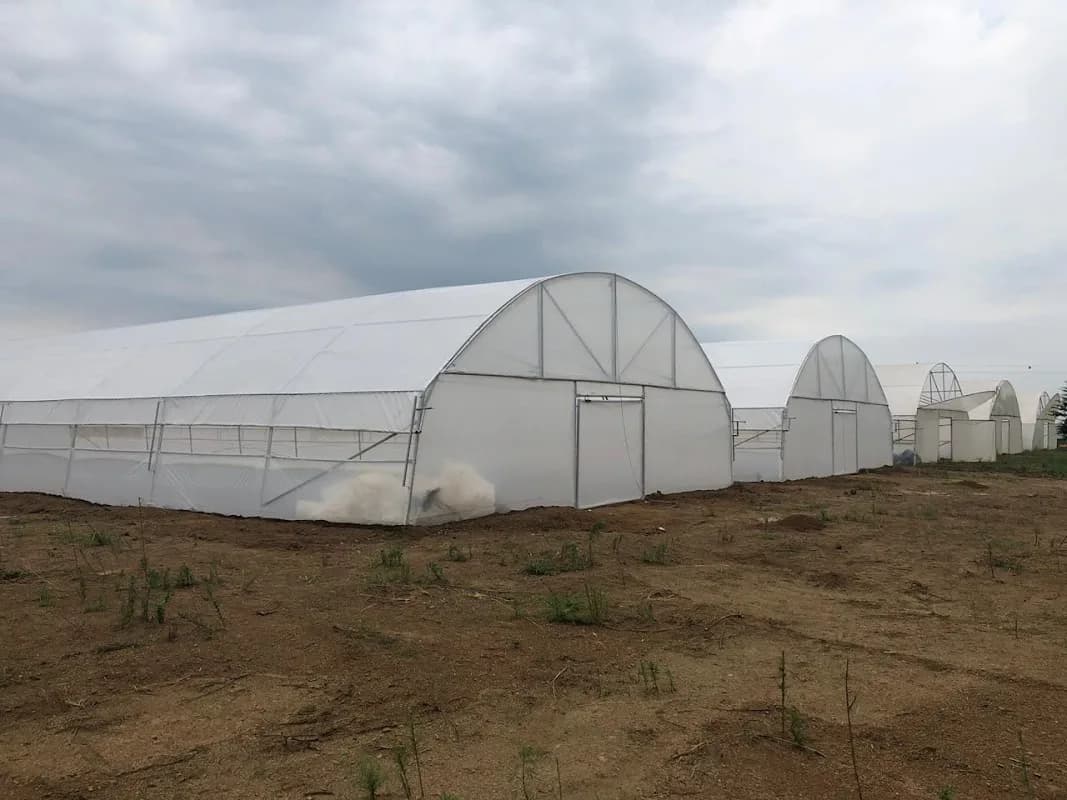 Dicla Horticulture in West Rand