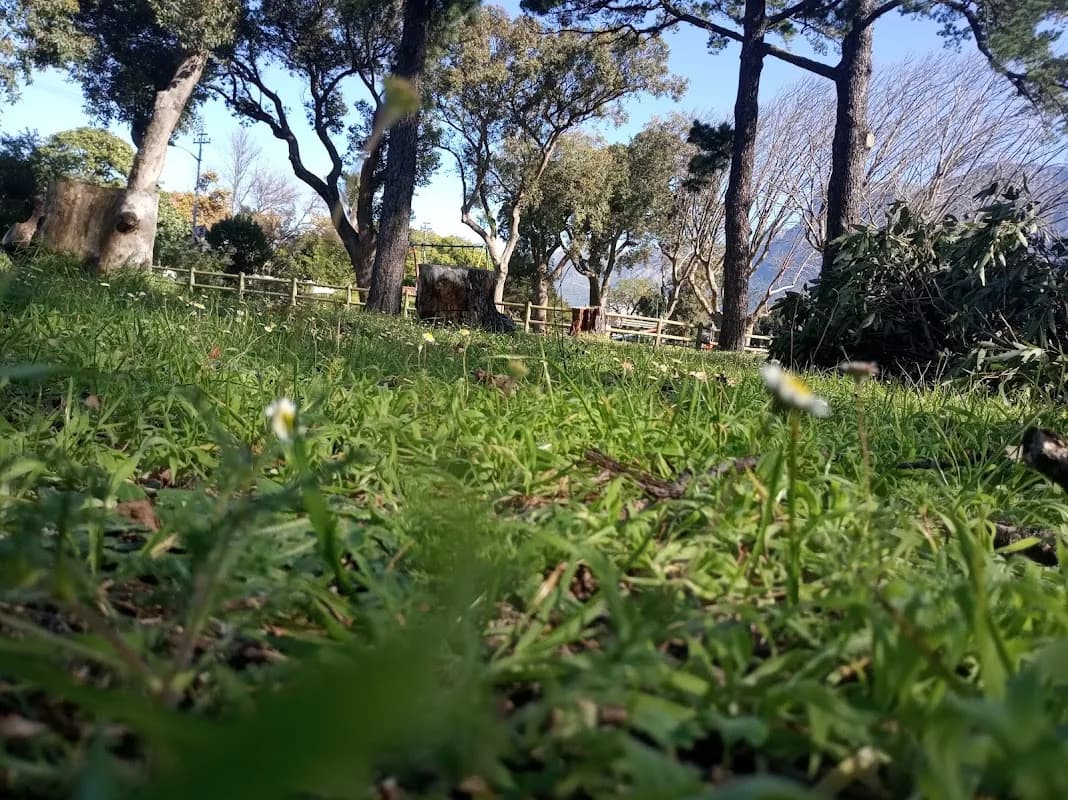 Rondebosch Park in Rondebosch