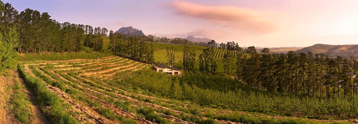 Timberlea Farming Trust in Kayamandi