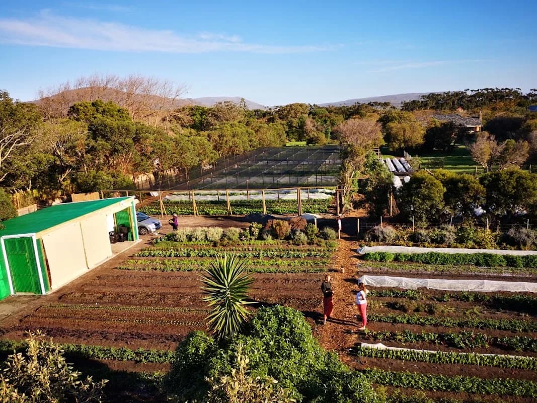 Metro Organics in Tokai