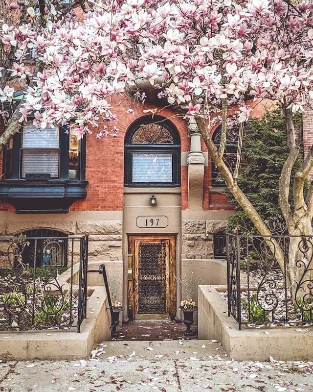 Carlisle Group Boston Real Estate in Back Bay / Beacon Hill