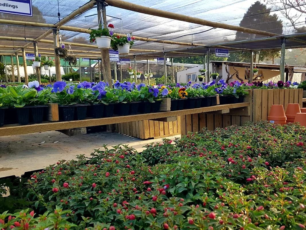 Blackwood's Assagay in Hillcrest