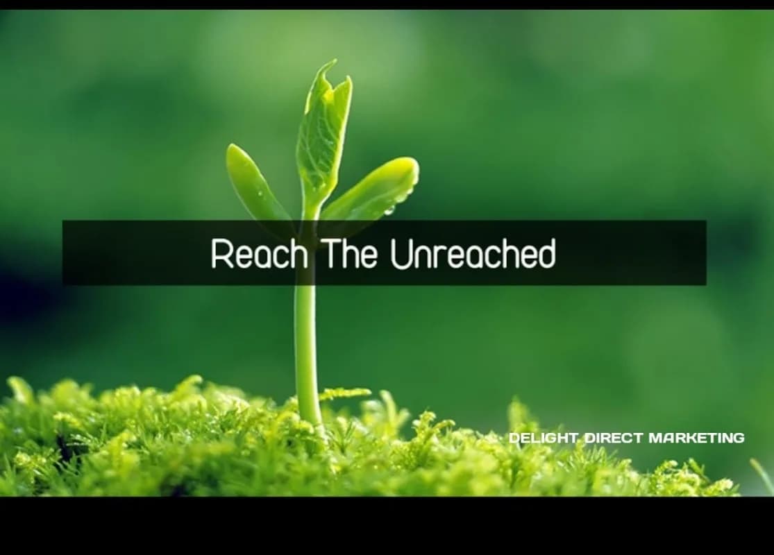 Delight Direct Marketing in Richards Bay CBD