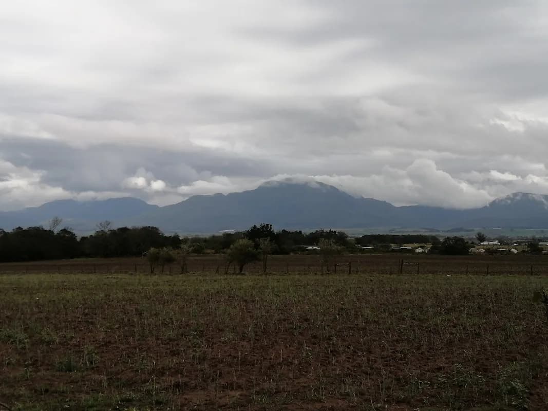 Cape Feed & Grain - Outeniqua Silo in George CBD