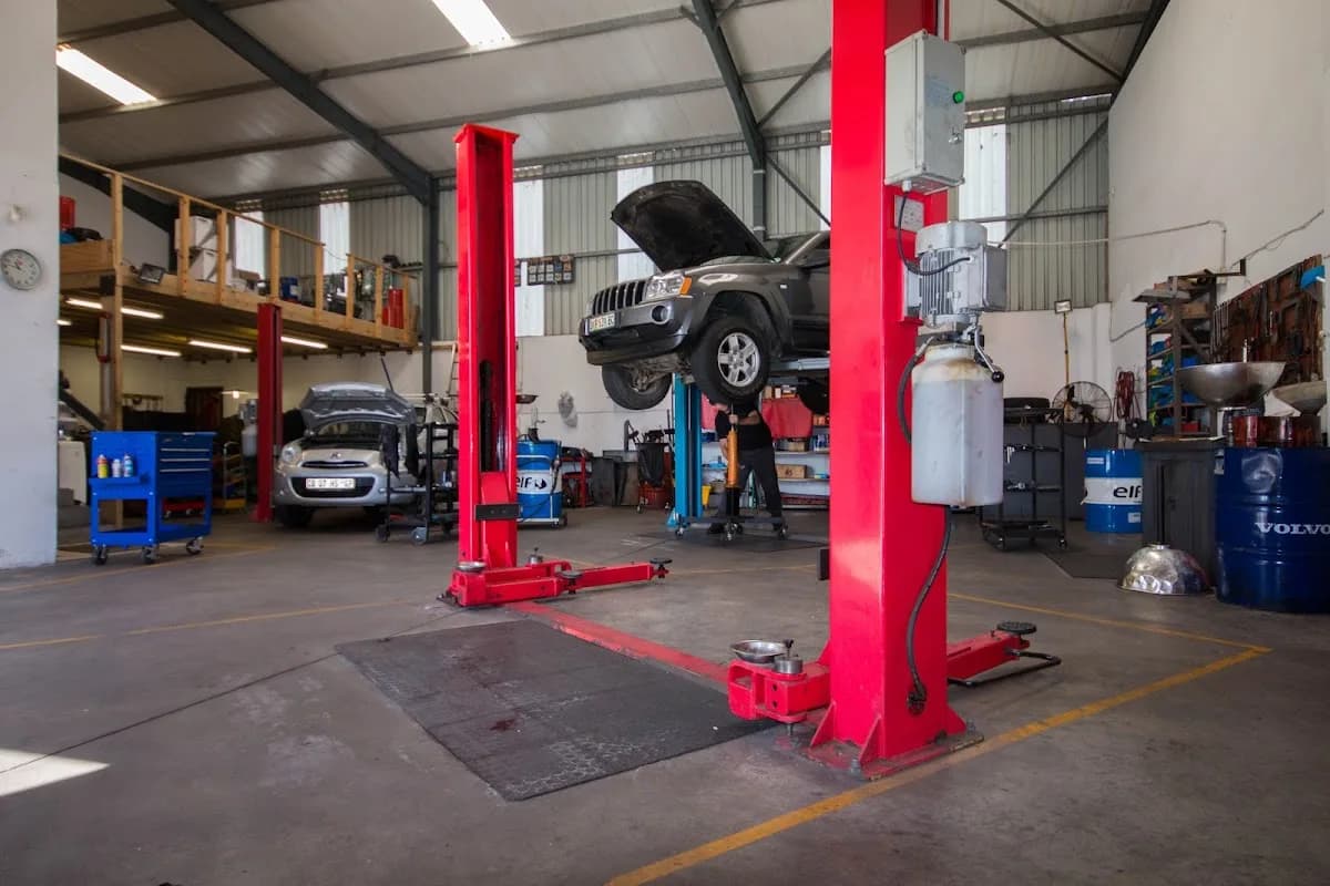 The Motor Specialist in Newton Park