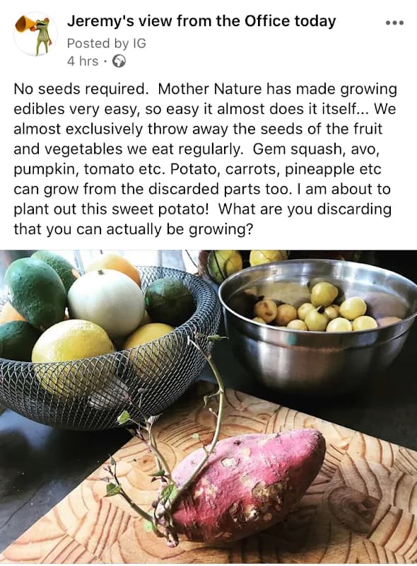 Natures Blueprint Garden Services Cape Town in Gardens