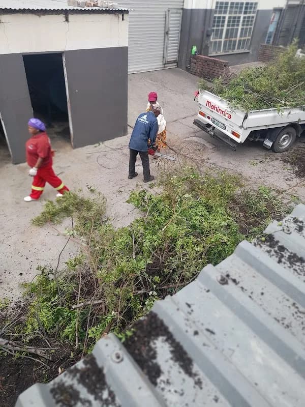 Maeza Cleaning and Security (Pty) Ltd in Riebeeckstad