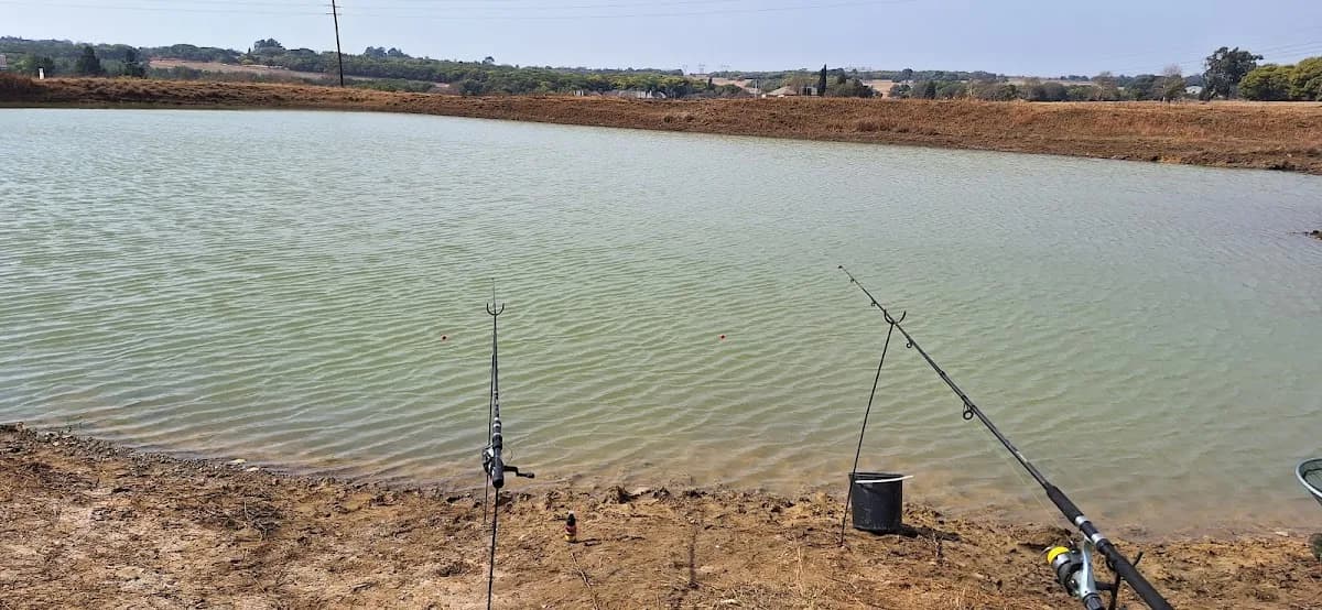 Garsfontein Trout Farm in Garsfontein