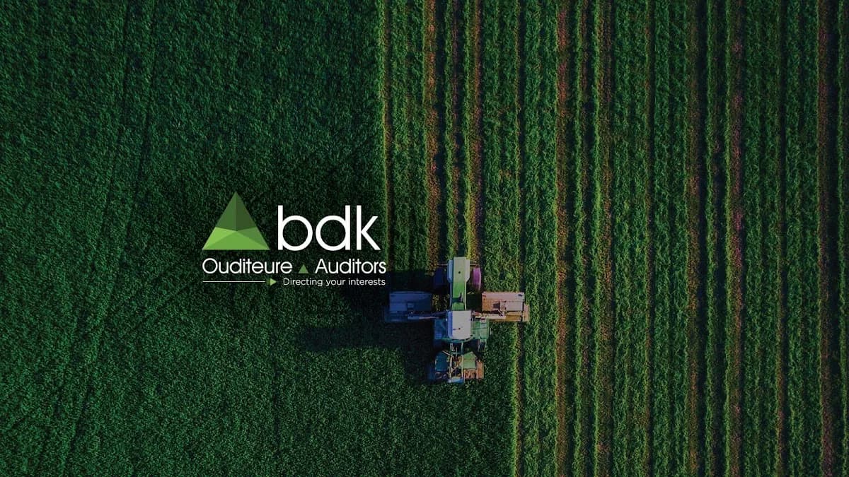 bdk Auditors Stellenbosch in Die Boord