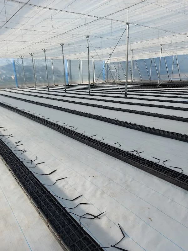 Welgevallen Experimental Farm in Die Boord