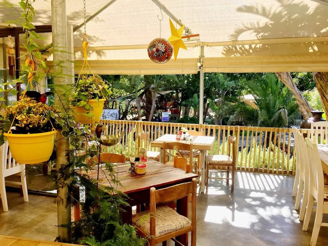 Roots Farm Shoppe in Tokai
