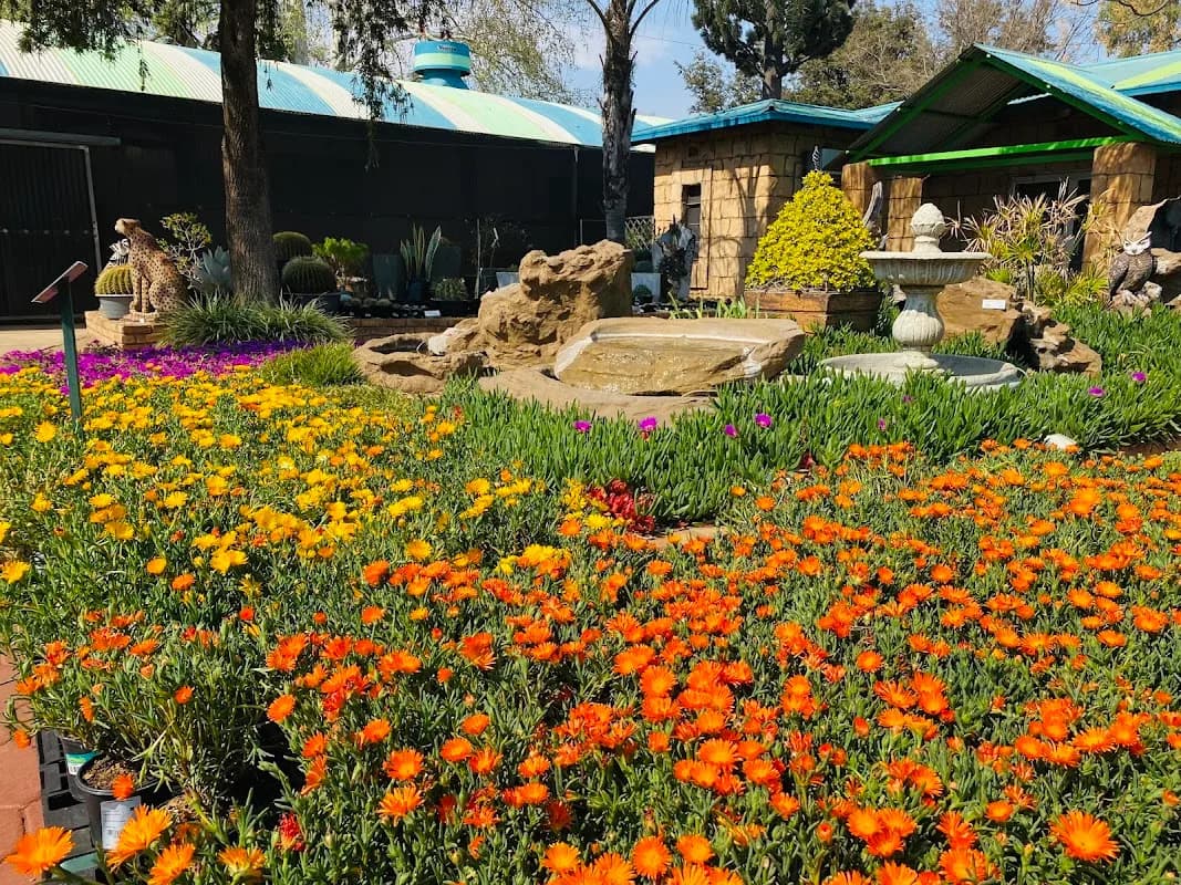 Plant Ranch in Wierda Park