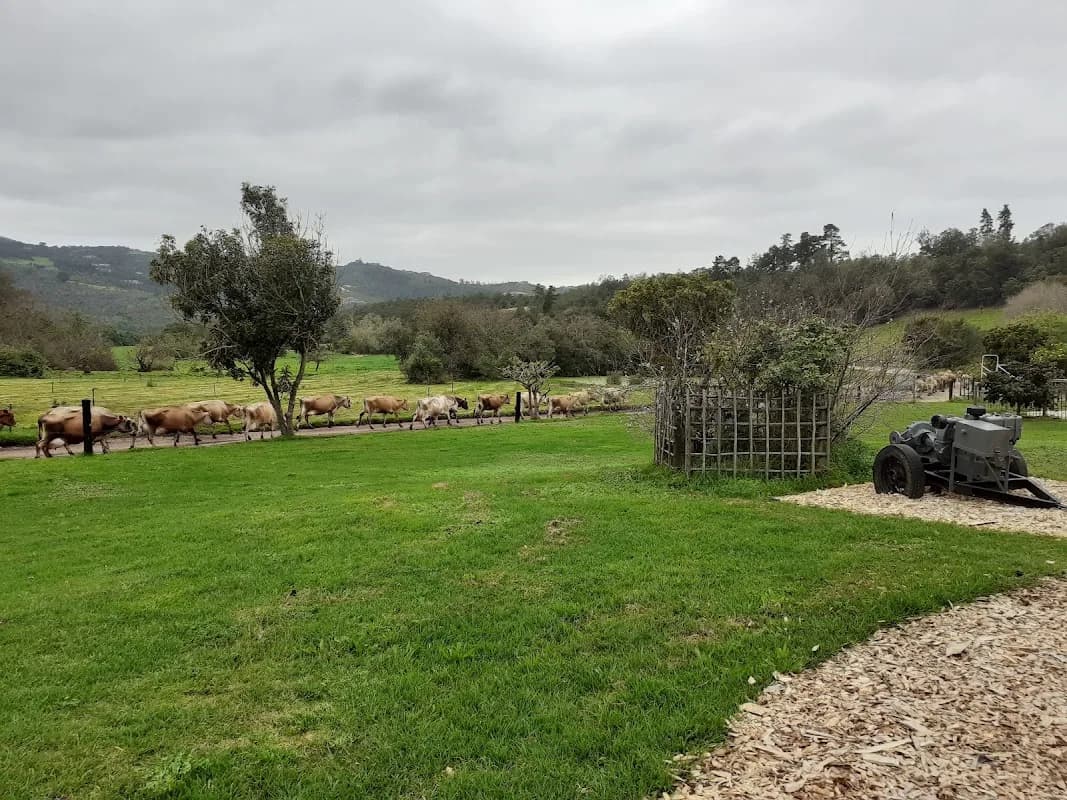 Charlesford Farm in Knysna CBD