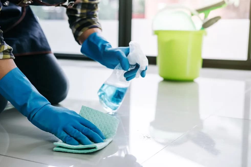 Hanano Cleaning Services in Esther Park