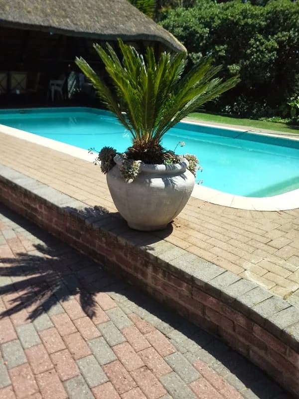 Feathers Guesthouse in Thabong