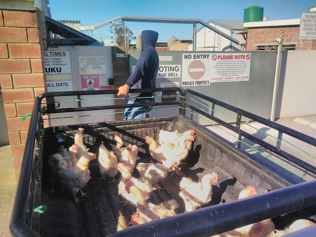 Sunrise Eggs Poultry Farm in Gonubie