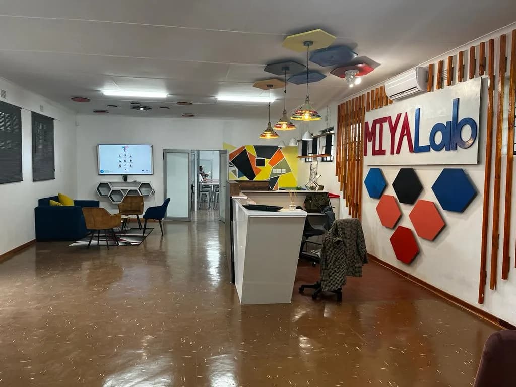 Macro Informative Youth Agency in Tshiame