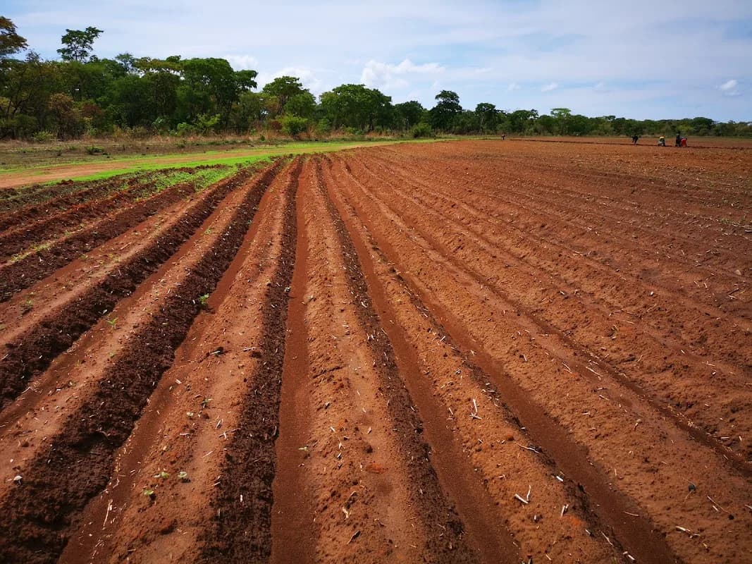Vuna Agribusiness (Pty) Ltd in Berea