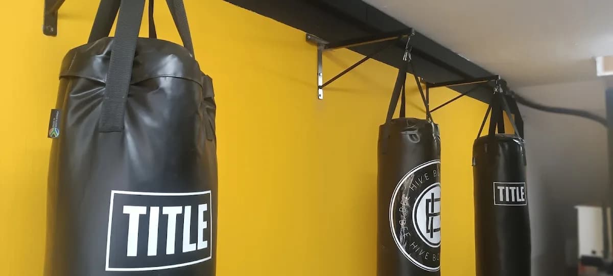 Beehive boxing club in Norwood