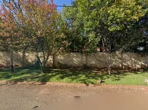 Tshenolo Insurance Brokers in Linden