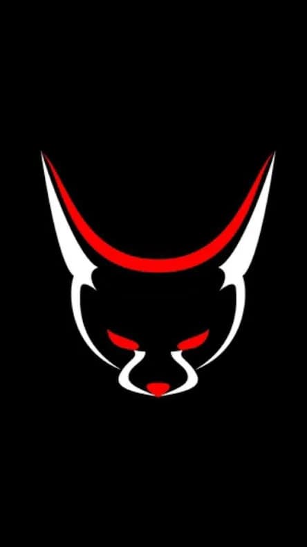 Foxino Concept Developer in Pimville