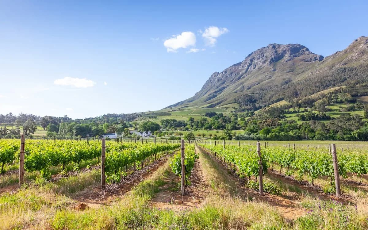 Crypto Tax Consult in Gordon's Bay